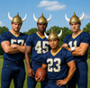 Bulk Viking Helmets |  5956