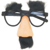 Disguise Glasses | Groucho Marx Glasses | 12 PACK 1631DZ