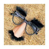 Disguise Glasses | Groucho Marx Glasses | 1631DZ
