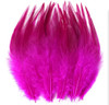 Feathers Bulk 5” 200PCS Saddle Feathers 5804