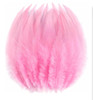 Feathers Bulk 5” 200PCS Saddle Feathers 5804