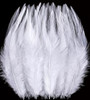 Feathers Bulk 5” 200PCS Saddle Feathers 5804