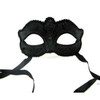 Mardi Gras Venetian Glitter Curved Top Mask Silver 1847S