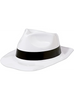 Plastic Fedora Hats | 12 PACK | Party Hats for Adults | 1301P Adult Size