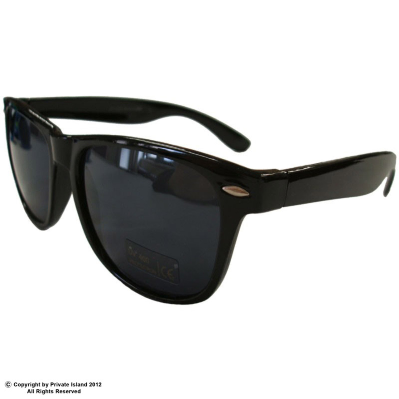 Unisex Black Wayfarer Sunglasses