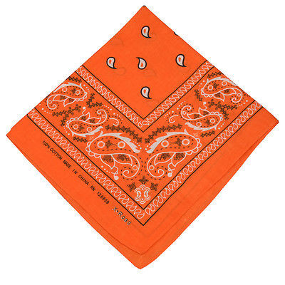 Pink Cowboy Costume Bandana 1917C