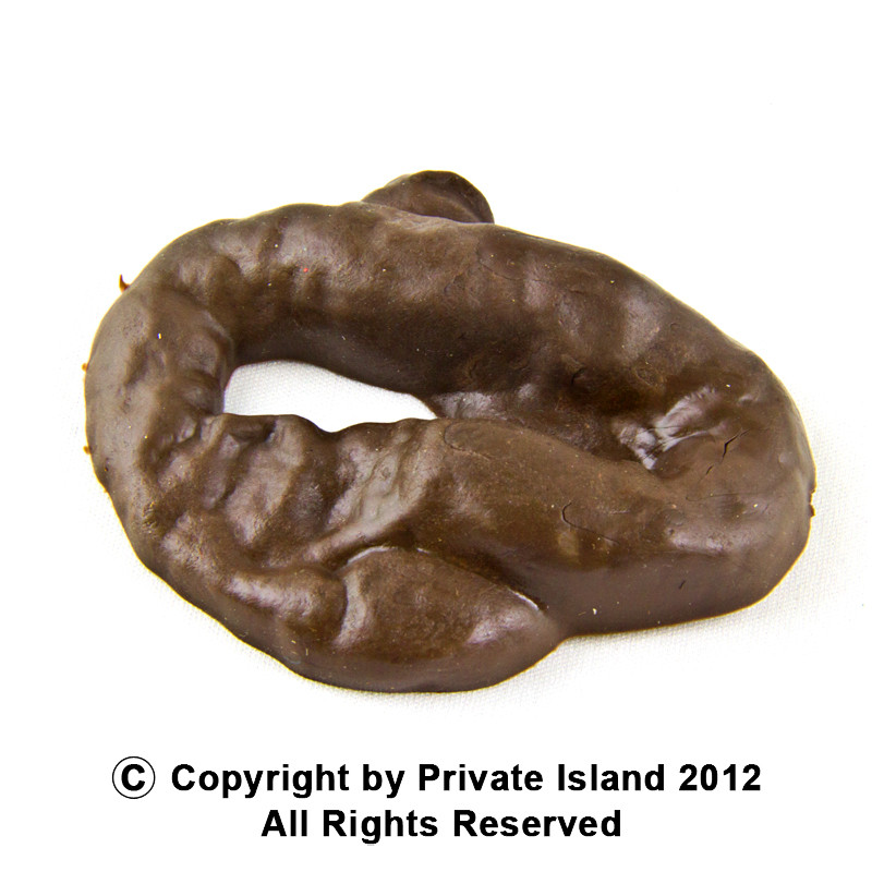 Fake Poop Bulk 1608DZ