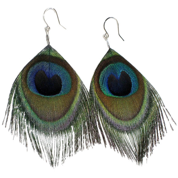  12 PACK  Peacock Feather Earrings 6535