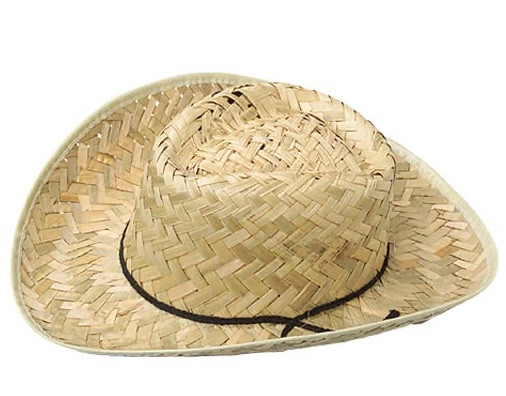 Court Jester Hat 1508