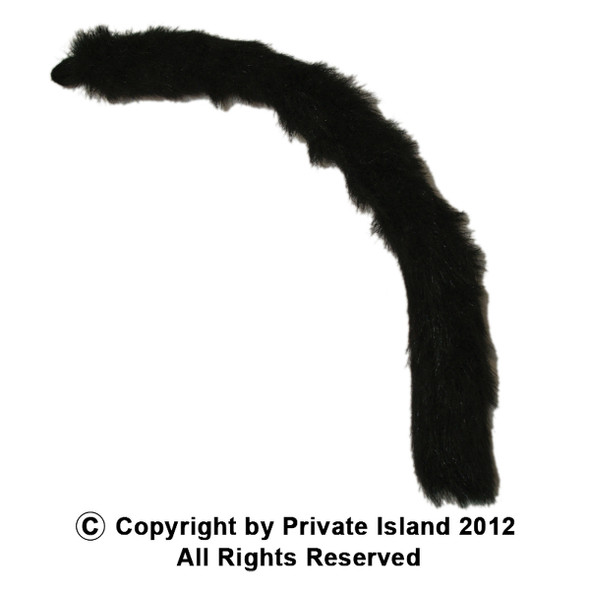 Cat Tail Black 1678