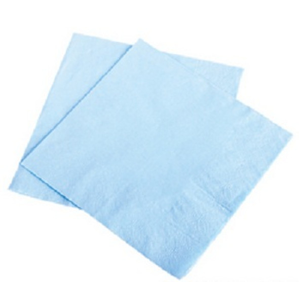 Light Blue Party Napkins 10" 50 Pack 3866