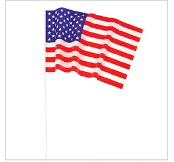 12 PACK USA Pride Flags 12 x 18" 9074D