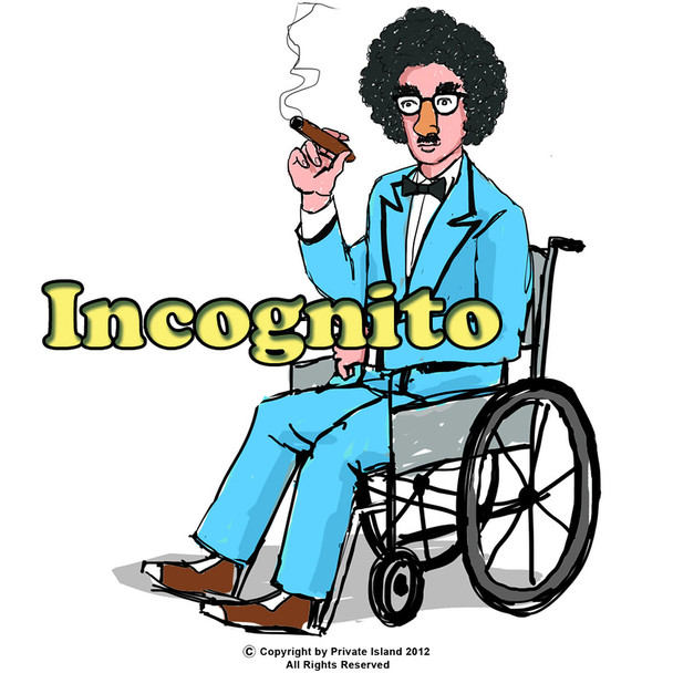 Incognito Spy Instant Costume 4407