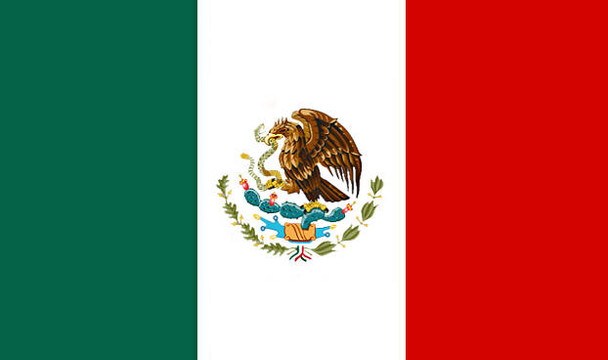  Wholesale Mexican Pride Flags Large 12”