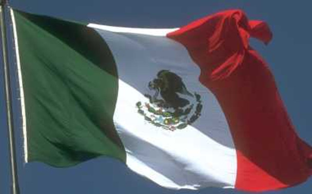 Mexican Flags 12 PACK  3' X 5' FT 9094