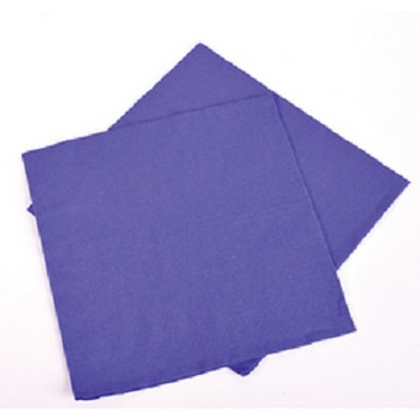 Purple Party Napkins 10" 20 Pack 3864