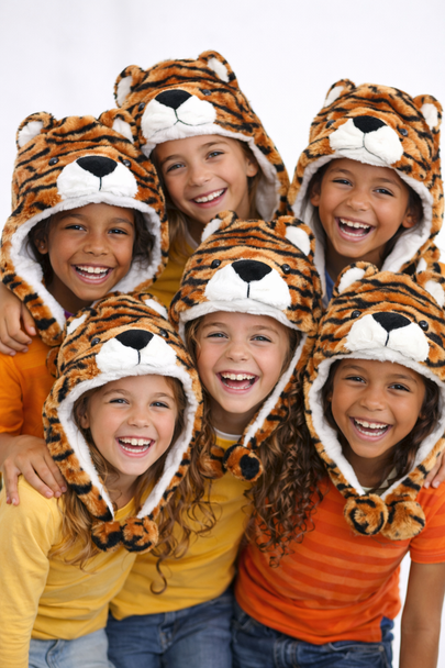 Tiger Hat Bulk Plush Animal Hats 5509