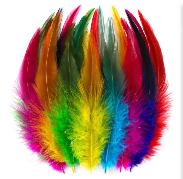 Feathers Bulk 5” 200PCS Saddle Feathers 5804