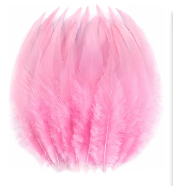 Feathers Bulk 5” 200PCS Saddle Feathers 5804