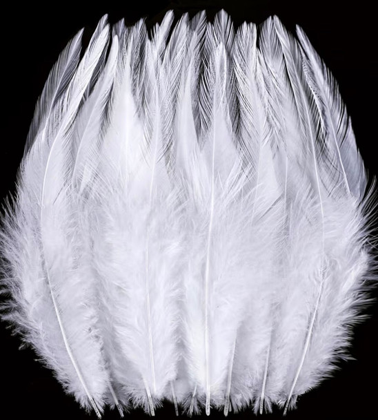 Feathers Bulk 5” 200PCS Saddle Feathers 5804