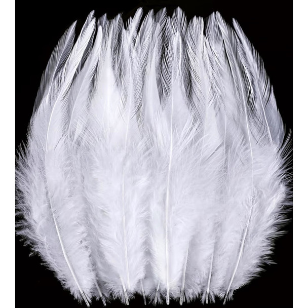 Feathers Bulk 5” 200PCS Saddle Feathers 5804