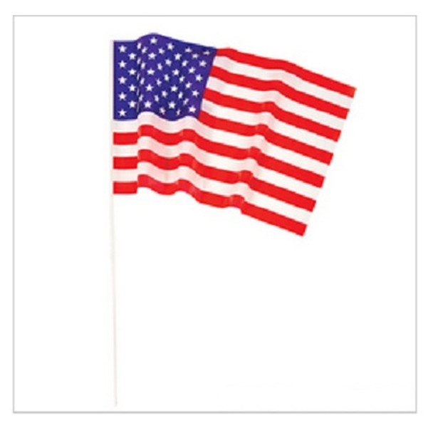  USA Pride Flags 12 x 18" 9074D