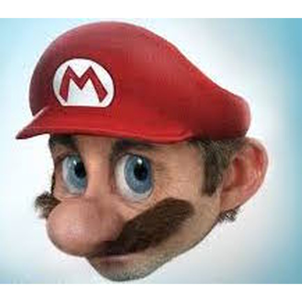 Mario Mustache 1620M