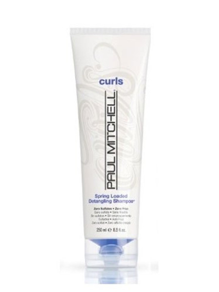Paul Mitchell Spring Loaded Frizz-Fighting Shampoo 250ml