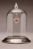 Glass Maxi Dome with Pewter Satin Base - 3" D x 4" H