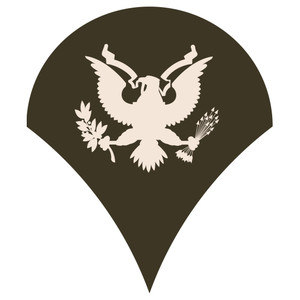 U.S Army - E4 - Specialist - Army - Combat - Soldier - Airborne  - Car Sticker - Decal - A12