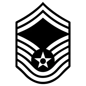 USAF, US Air Force, E8, Senior Master Sergeant, Enlisted,Military Emblem for Laptops Cars, Patriotic Gift for Air Force Fans