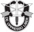 Army Special Forces - US Army - Army - Green Beret - Rangers - Night Stalkers - Army Logo - Military - Decal  A01