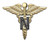 US Army Nurse - Logo - Decal - Military - Insignia - Gifts