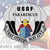 USAF, US Air Force, Pararescue, Beret Badge , Military Emblem for Laptops Cars, Patriotic Gift for Air Force Fans