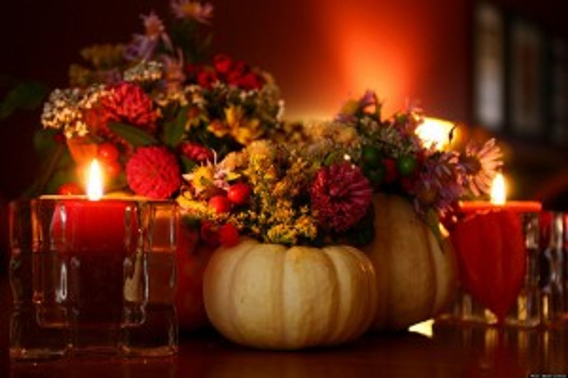 A Thanksgiving Note from the Boca Terry Family to Yours A Thanksgiving Note from the Boca Terry Family to Yours