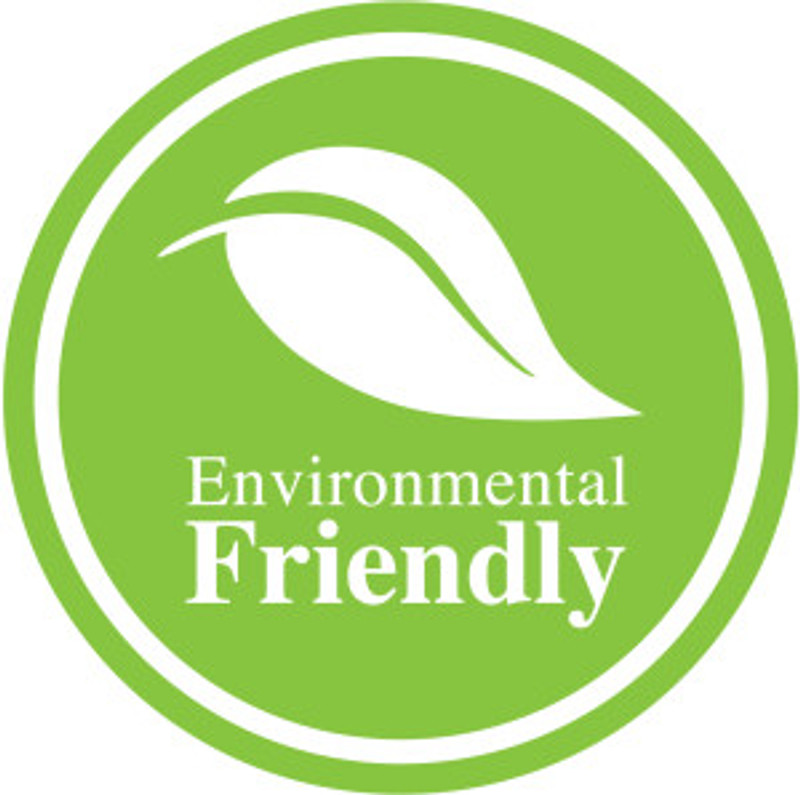 Environmentally Friendly Hotel Initiatives