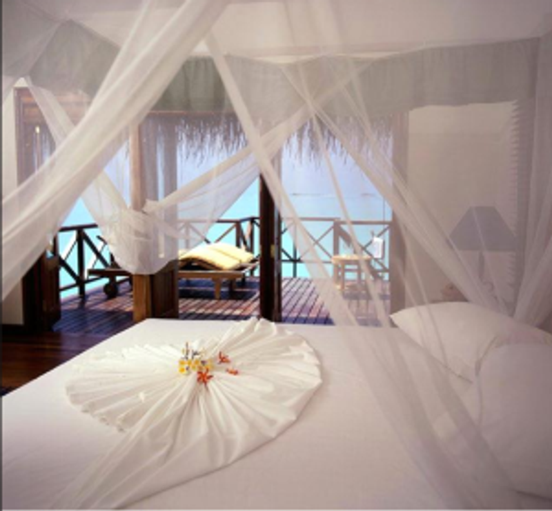 Hospitality Trends in 2013