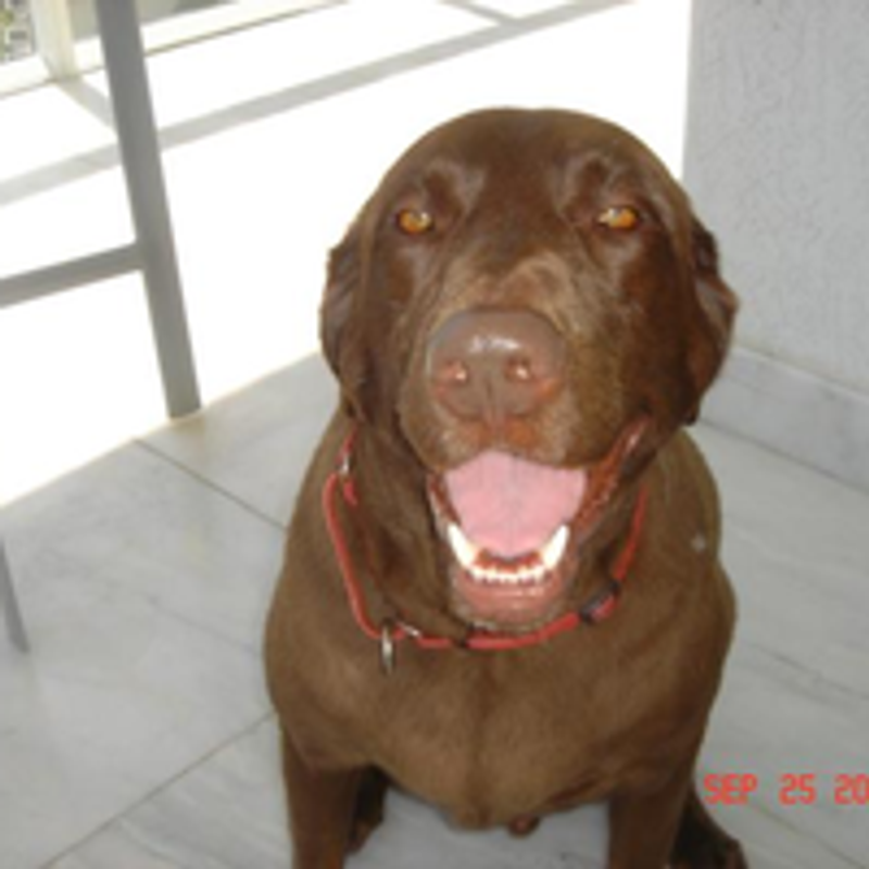 Meet Aspen &#8211; The Heart &#038; Soul of Boca Terry