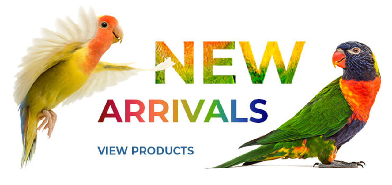 New Parrot Food, Parrot Toys, Parrot Treats at Parrot Essentials