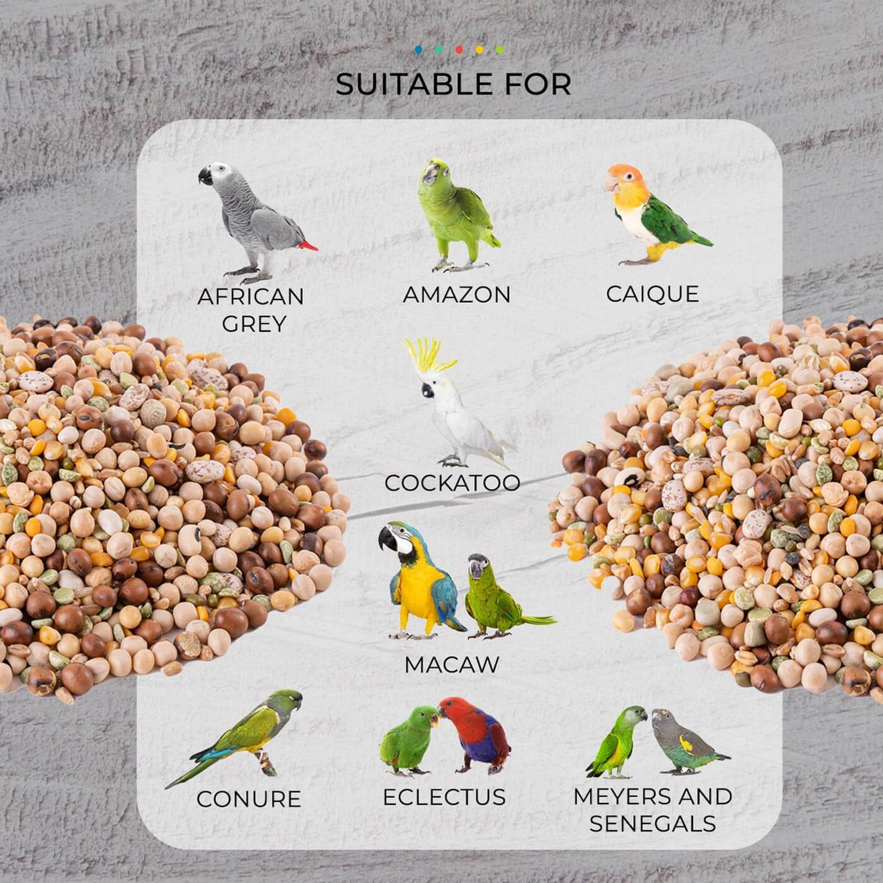 Can You Feed Birds Rice? Surprising Facts You Need to Know