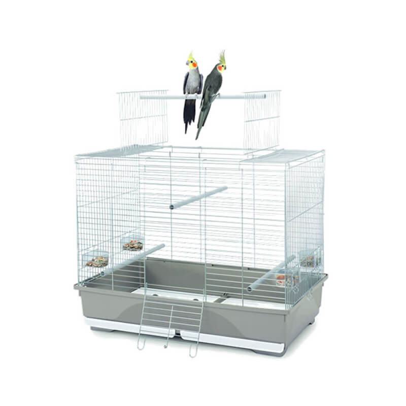 small budgie cage