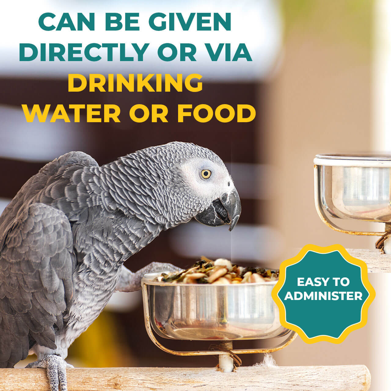 Zolcal D Calcium & Vitamin D3 Parrot Vitamins & Supplement