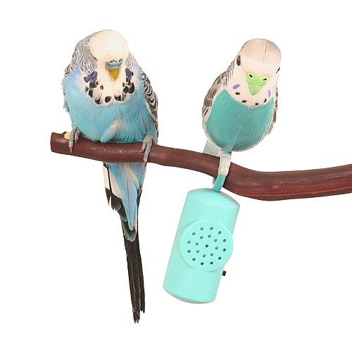 Hagen Budgie Buddy Singing Parakeet Interactive Toy