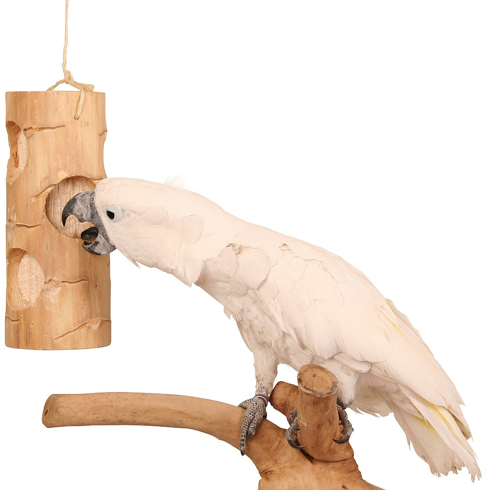 Parrot Toys Buy online Large Selection of Safe Bird Toys