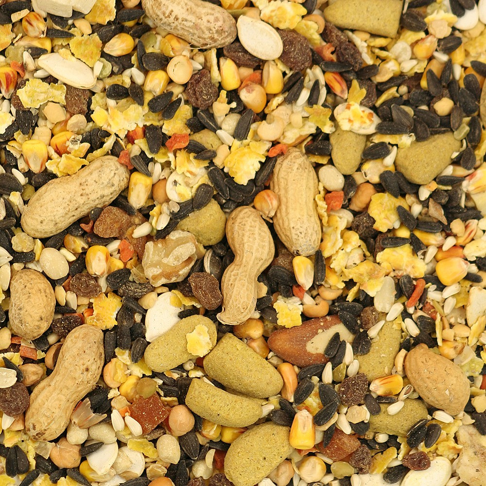 Hagen Gourmet Parrot Food Seed Mix for Large Parrots 1.8kg