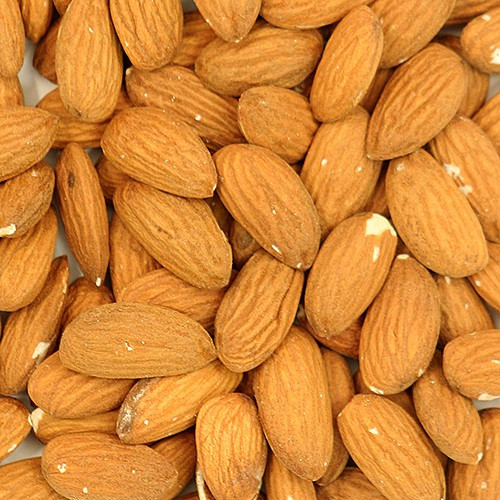 Human Grade Almond Parrot Treat - 100g