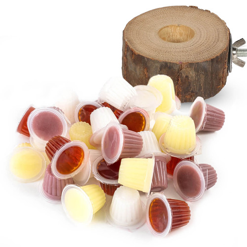 Pack of 30 Parrot Treats Jelly Fruit Cups & Holder for All Bird Cages