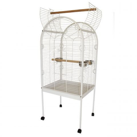 parrot pinjra online