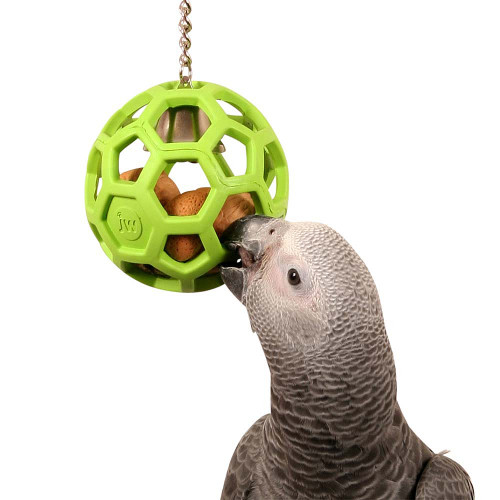 babble ball for birds