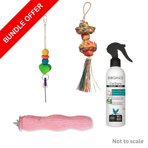 Parrot Essentials Wellness Bundle for Pet Birds - Small